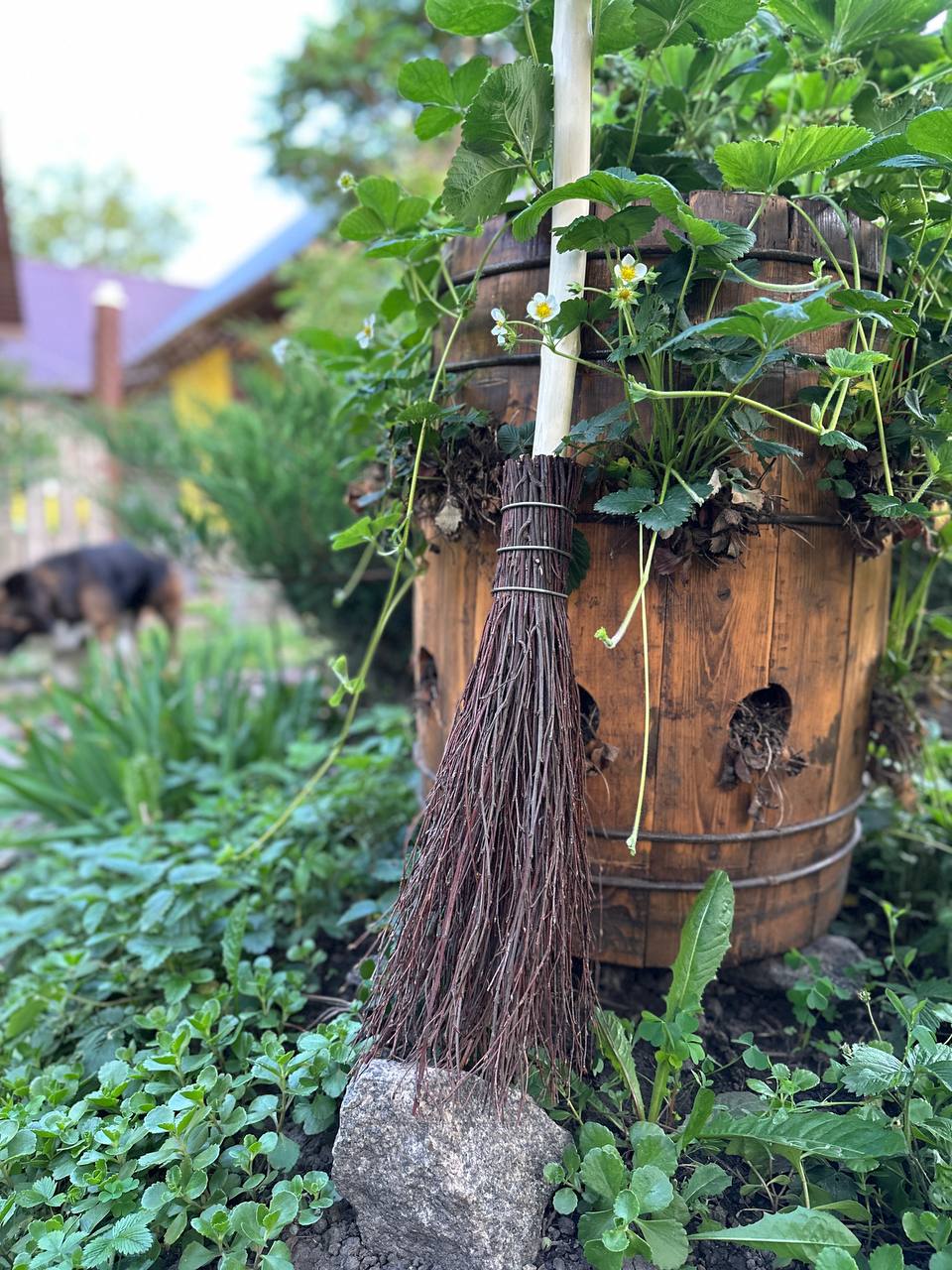 Natural Witch Broom With Lace And Pendant