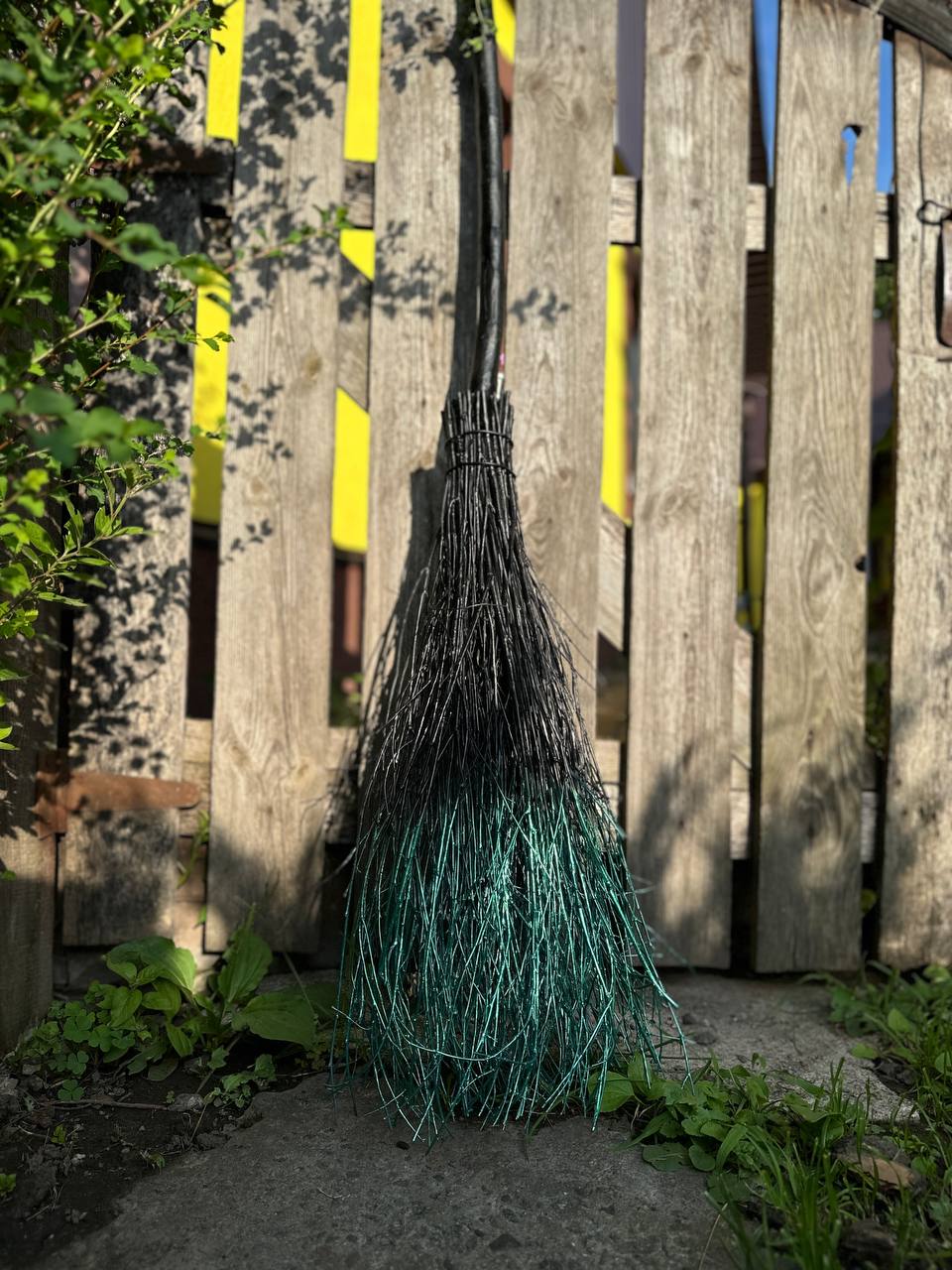 Real Black And Green Witch Broom