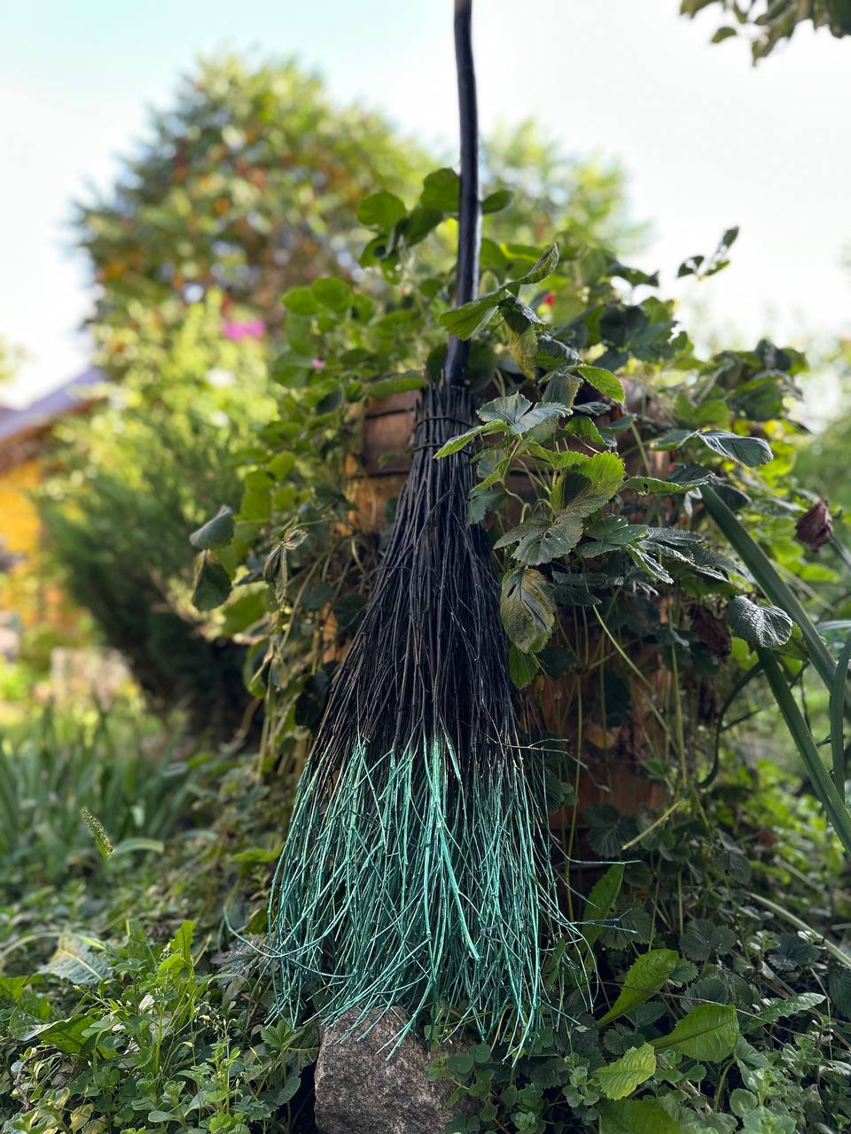 Real Black And Green Witch Broom