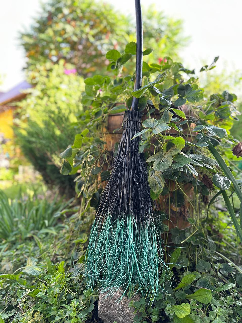 Real Black And Green Witch Broom